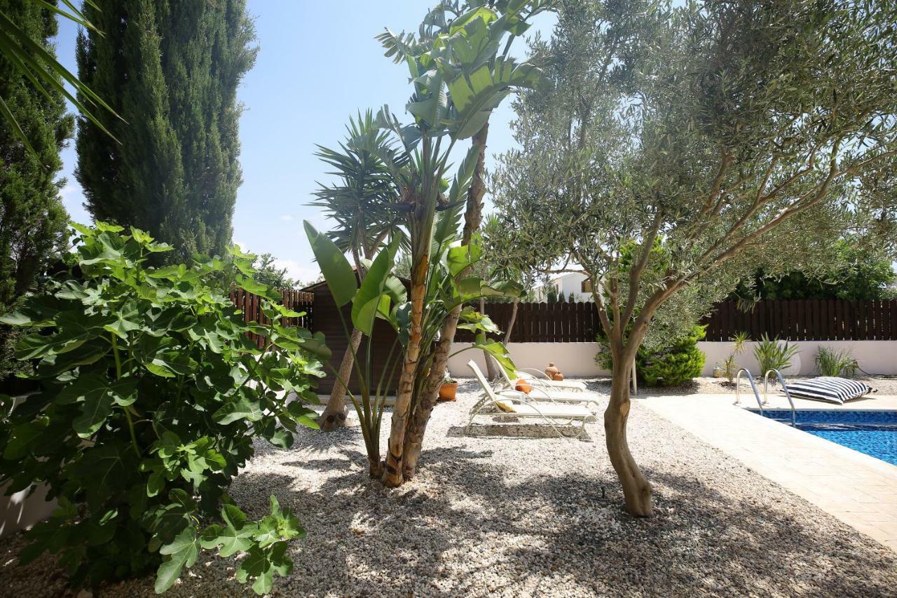 Unique Beach Luxurious Villas Ayia Napa Exteriör bild